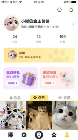 皮克方短视频经典版